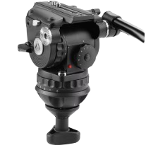 E-image Normal Head